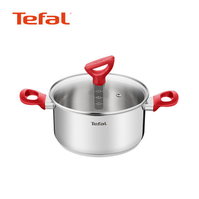 [Tefal] 테팔 에디션 레드 인덕션 양수냄비 20cm